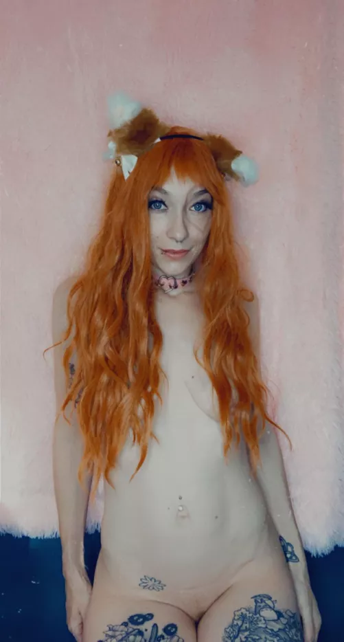 Can puppy get a bone 🦴