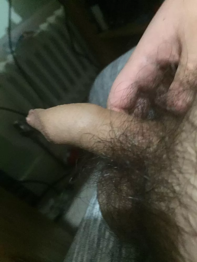 Can someone help this small lonely cock out? They deserve love to!