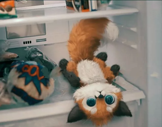 Can someone tell me what he is doing and why in my fridge?