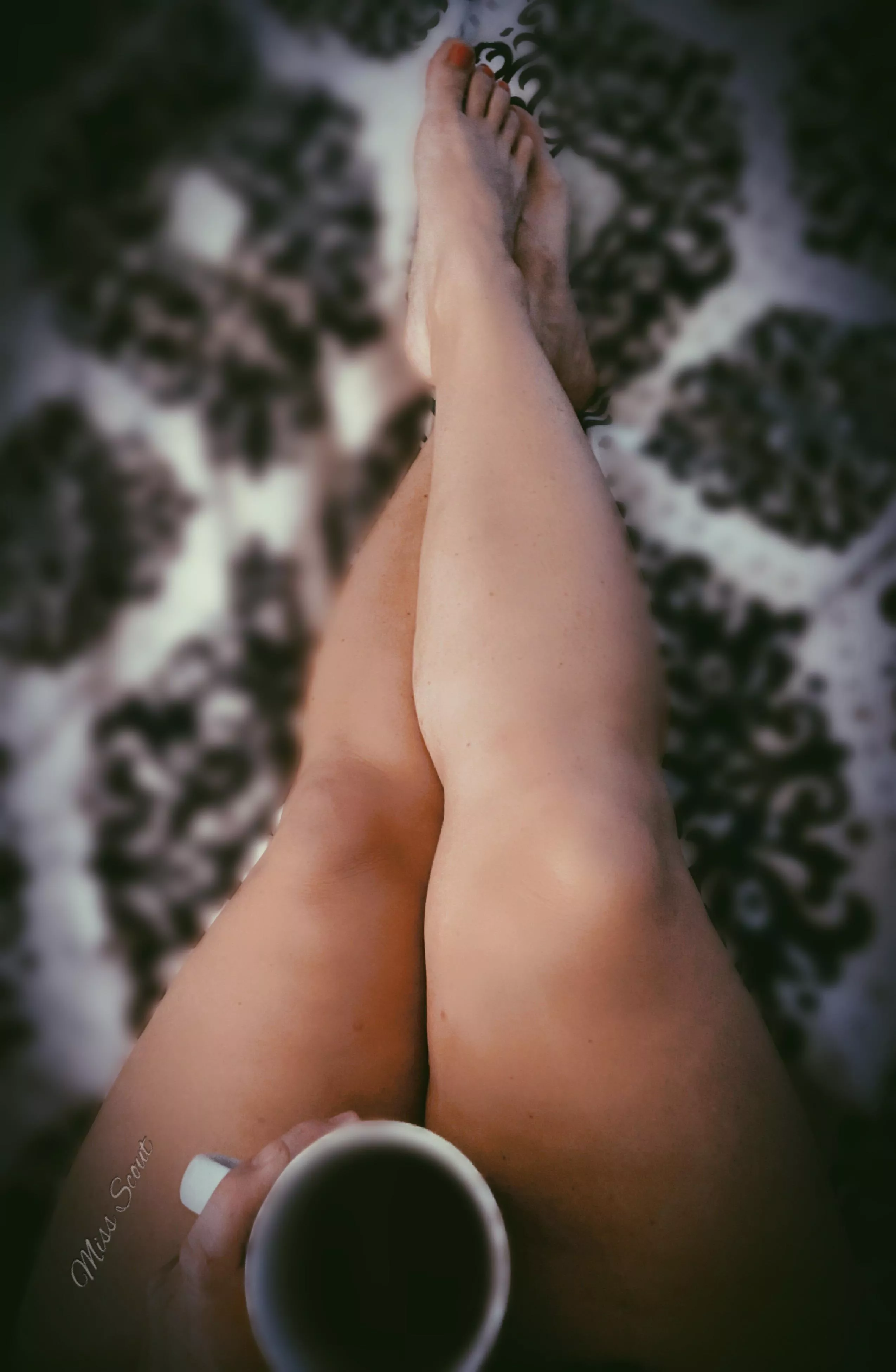 Can we have a No Pants day? (F)