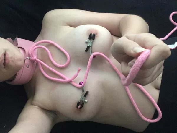 Can we please go for a walk, sir? I promise I’ll be a good girl!