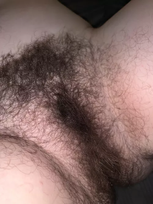 Can you handle my bush 😏