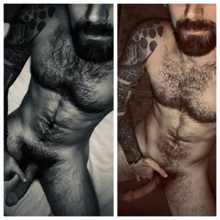 Canāt decide which photo I like more. Help?