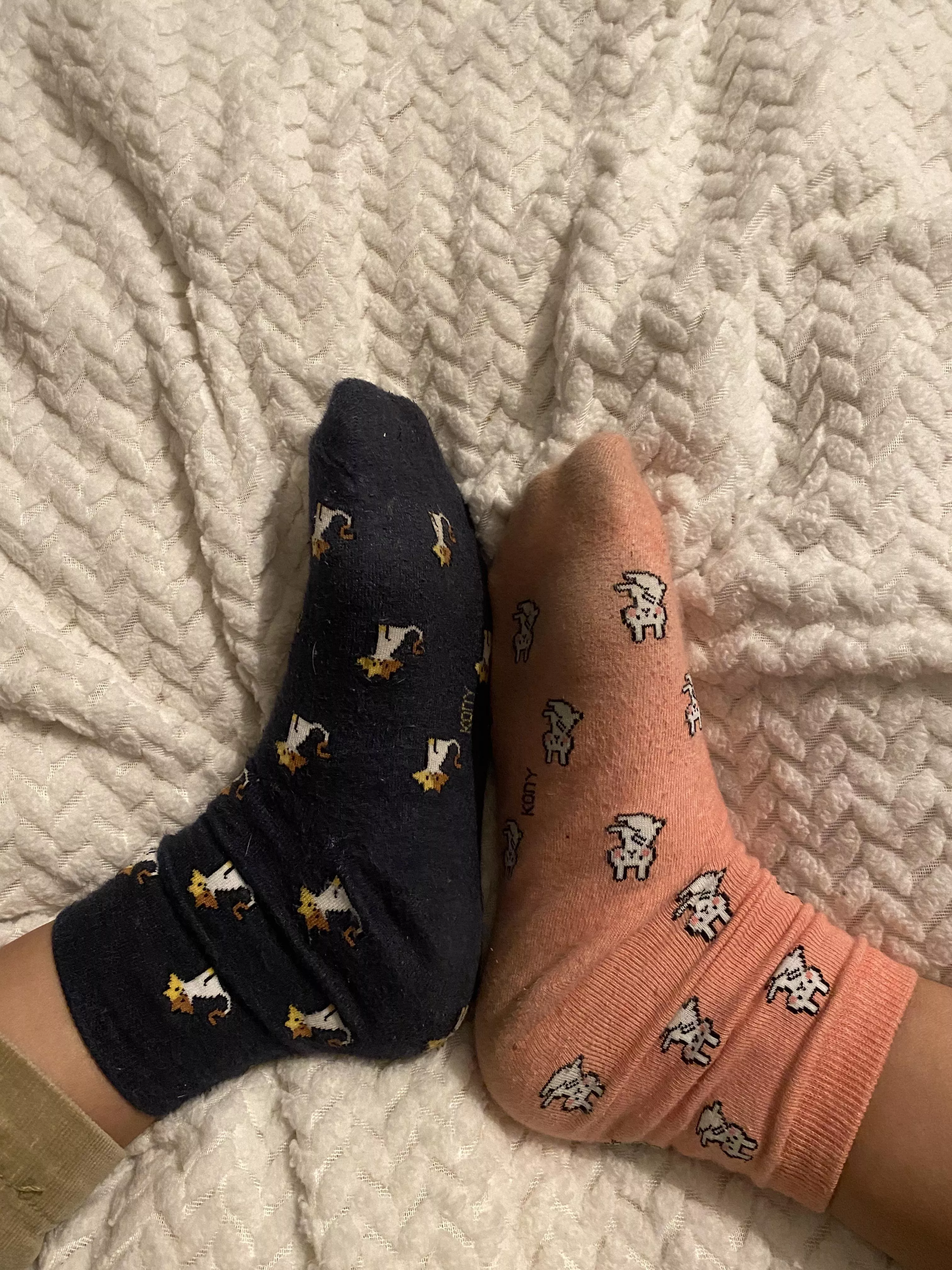 Can’t find any matching socks :/ anyone wanna help Can’t find any matching socks :/ anyone wanna help