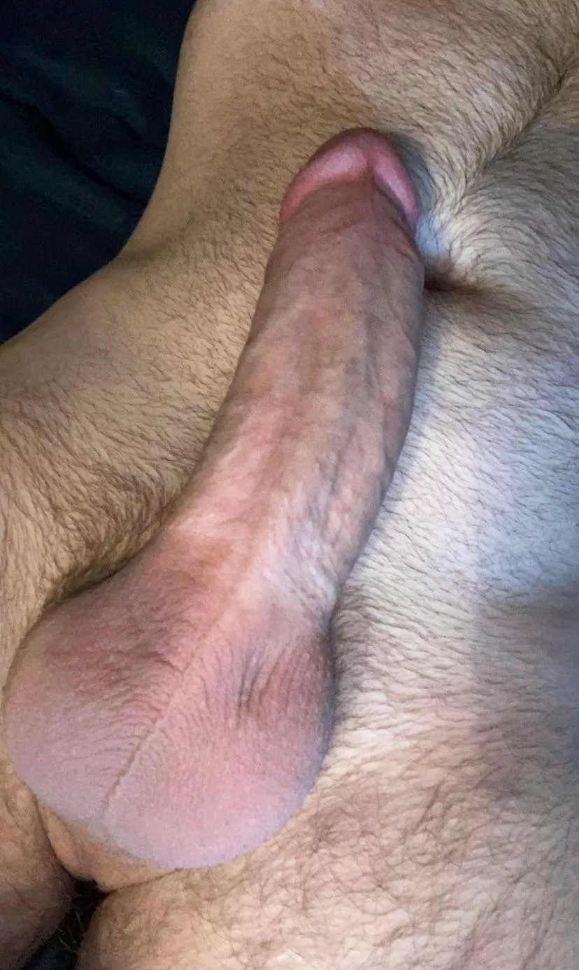 Can’t sleep. Have a dick pic. Can’t sleep. Have a dick pic.