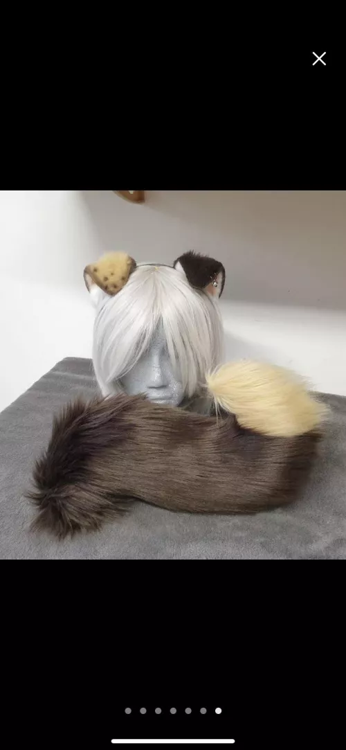 Can’t wait for my new ears and tail to come!!! Any ideas what breed this could be?