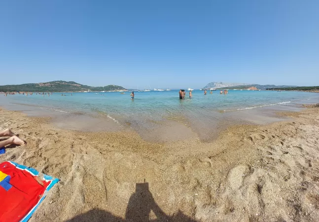 Capo coda cavallo, Italy