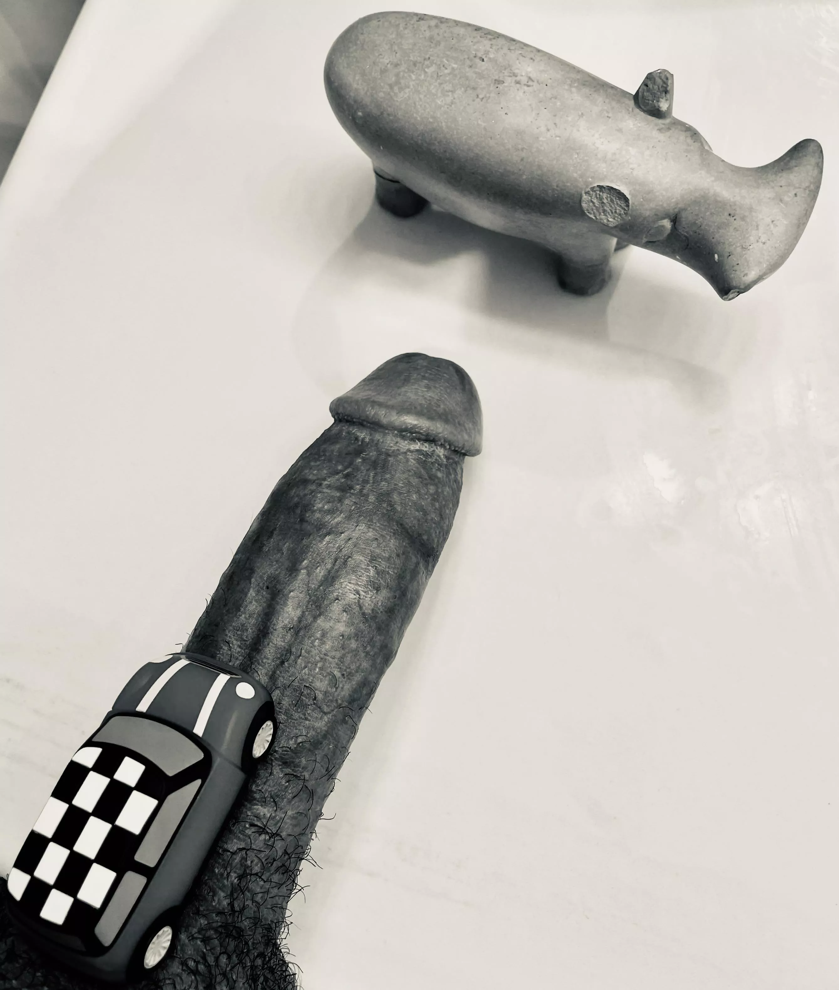 Careful! Rhino crossing on safari [m]