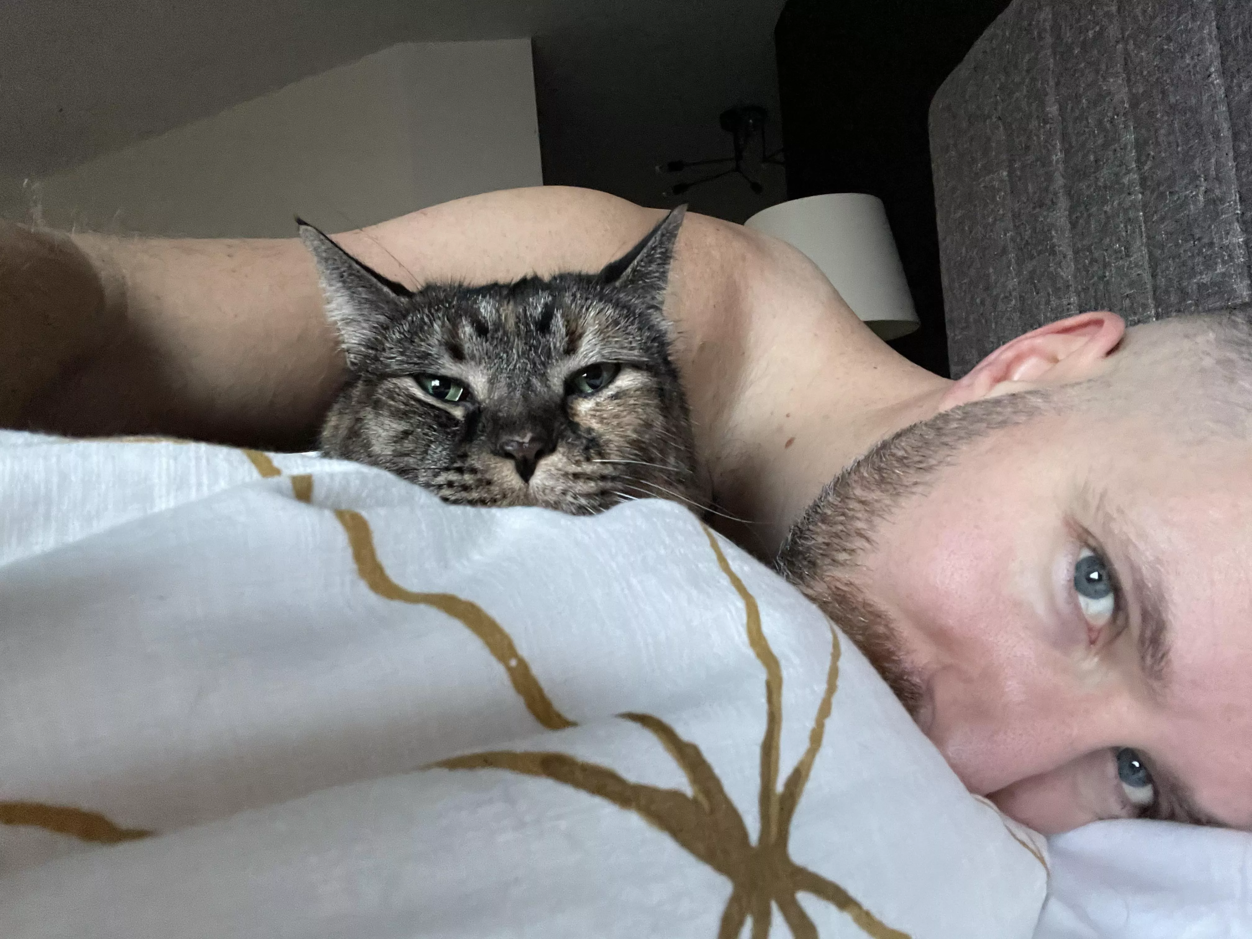 Cat cuddles on this Christmas Eve morning. 🎄