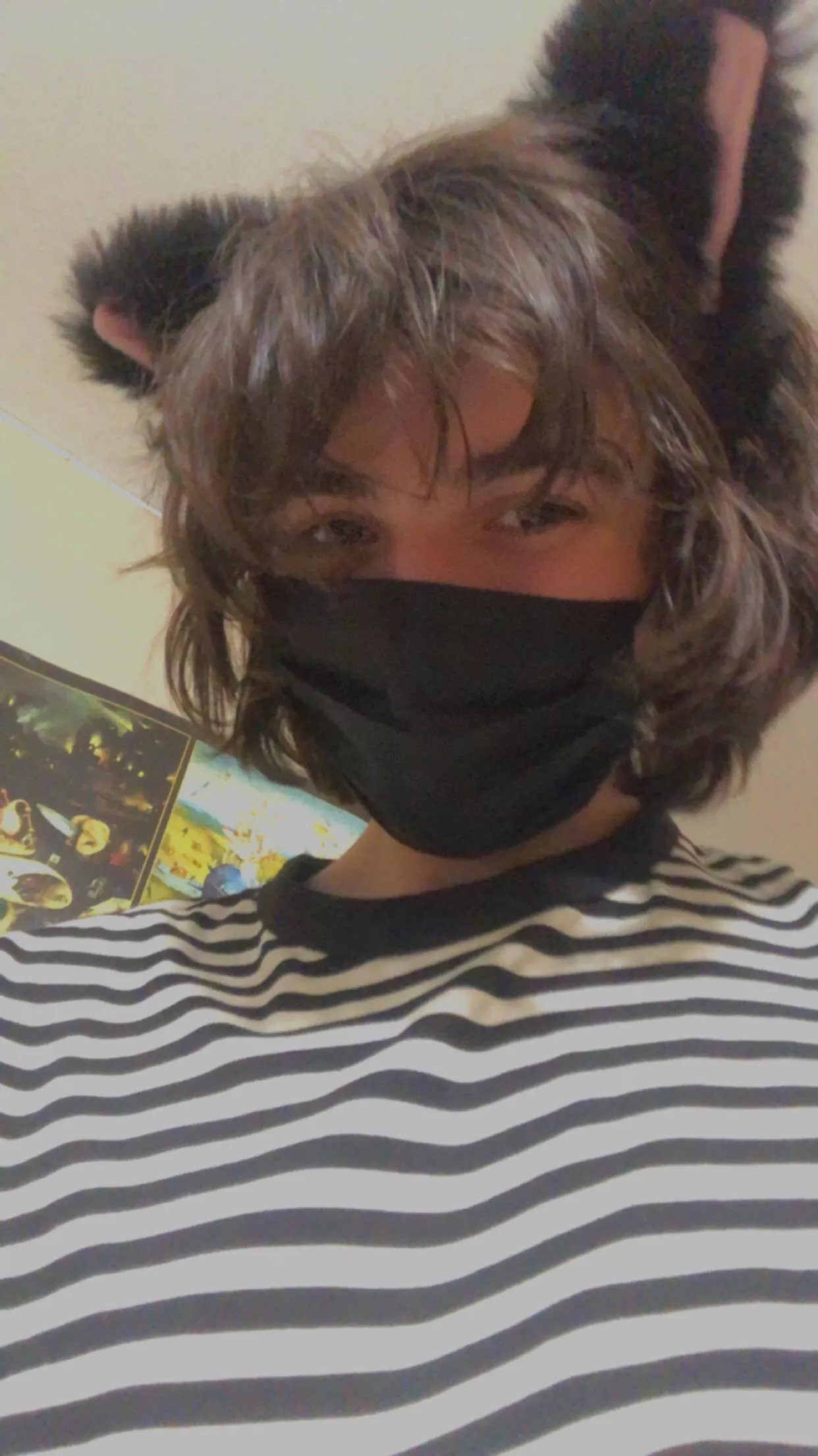 Cat ears and stripes anyone?