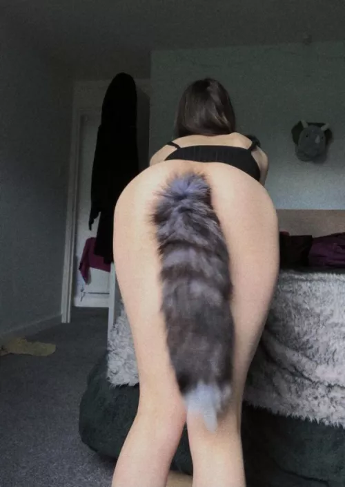 Cat girls come to ruin your life