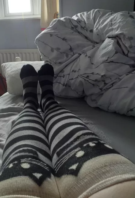 Cat thigh highs β€