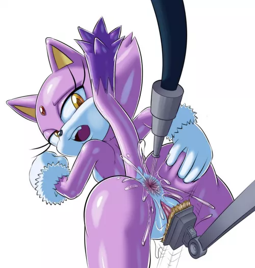 Cat Wash - Art by Servedasis