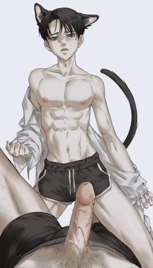 Catboy Levi [Attack on Titan]