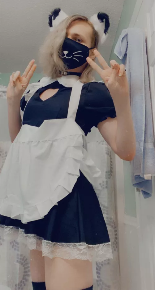 Catboy maid :3