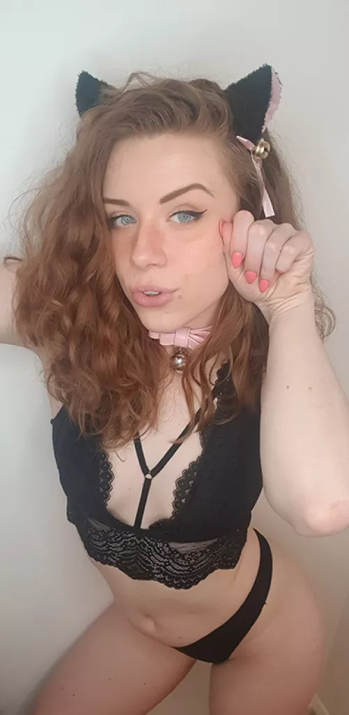 Catgirls have more fun!