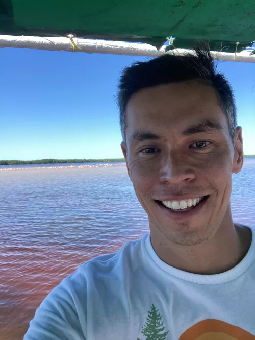 Celebrated the Holidays with flamingos :)