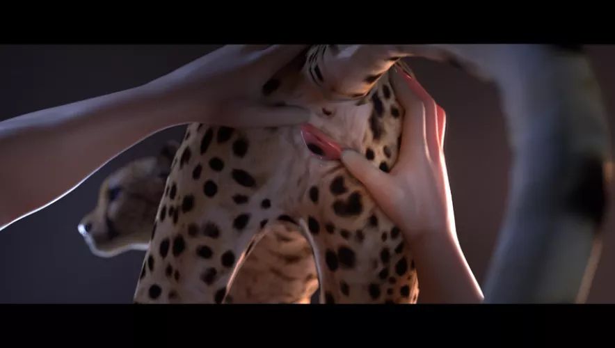 Cheetah spread (tuke)