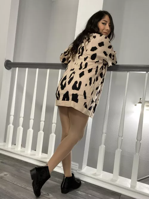 Cheetah with all natural 15 denier pantyhose