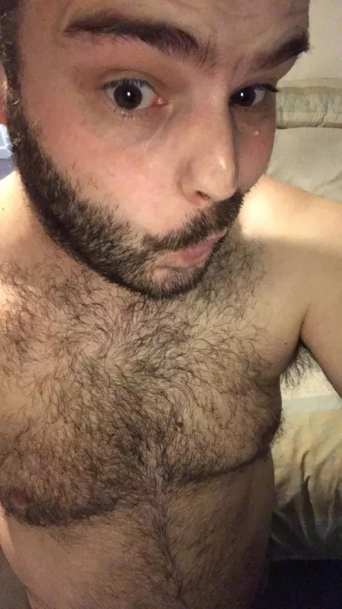 Chest and face hair