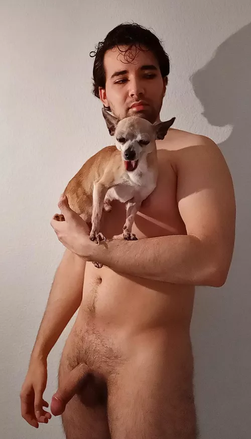 Chihuahua here Chihuahua there Everybody wants it everywhere