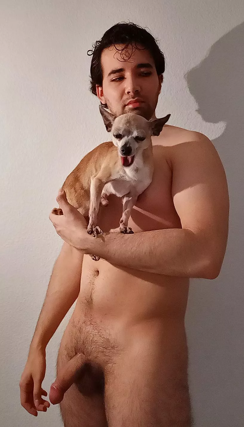 Chihuahua here Chihuahua there Everybody wants it everywhere