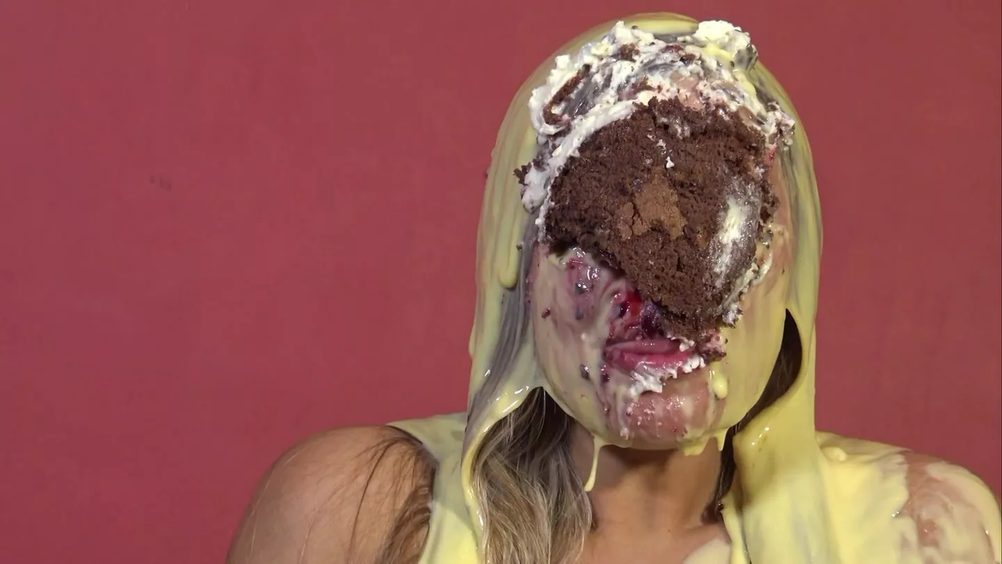 Chocolate cake stuck on top of custard Chocolate cake stuck on top of custard