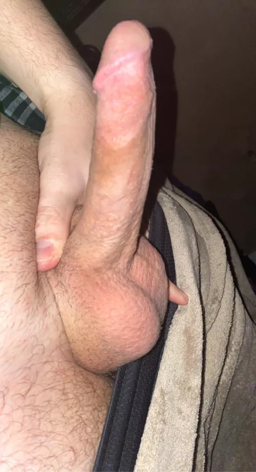 christmas cock anyone? dms are open