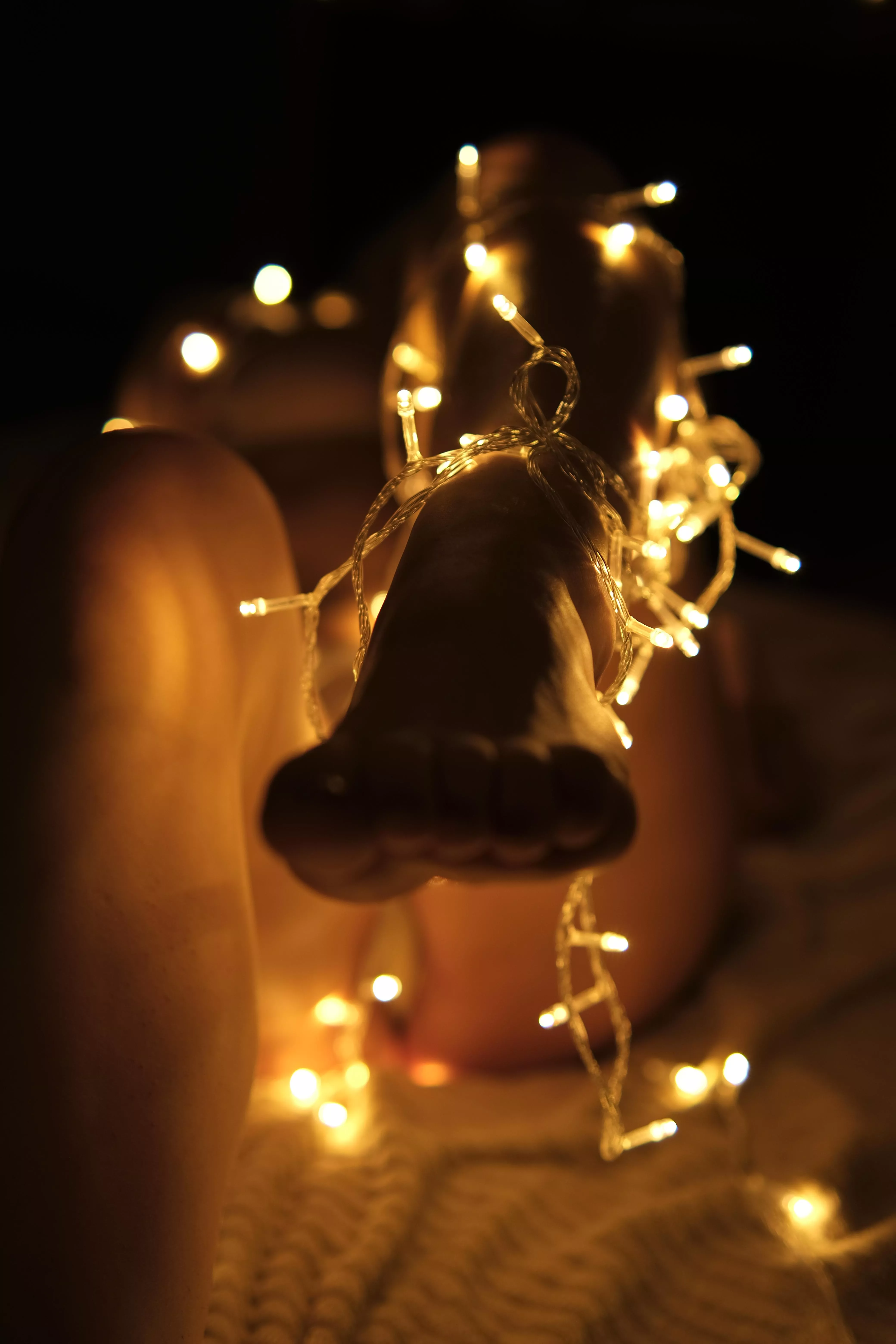 Christmas mood in your face ❤️