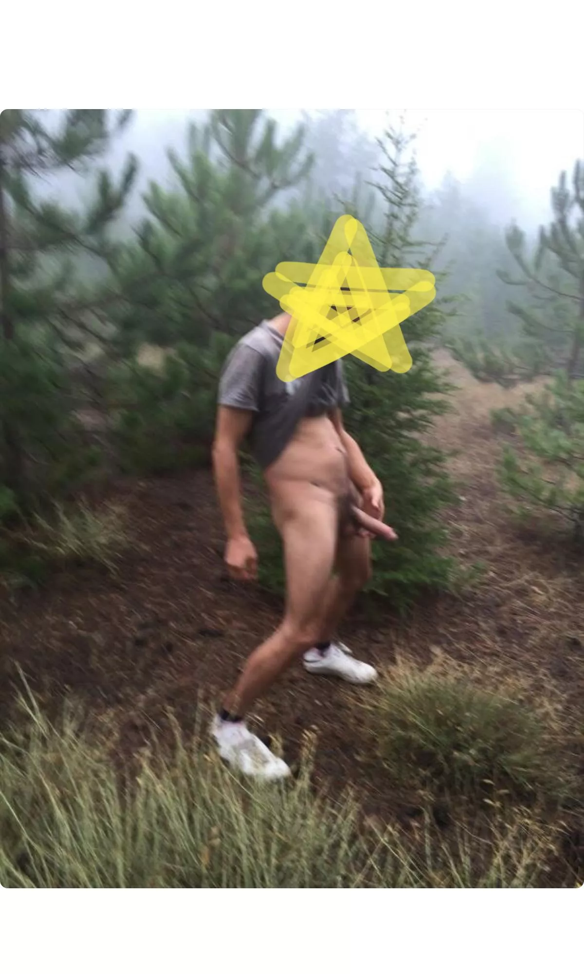 Christmas tree from Berlin 😝