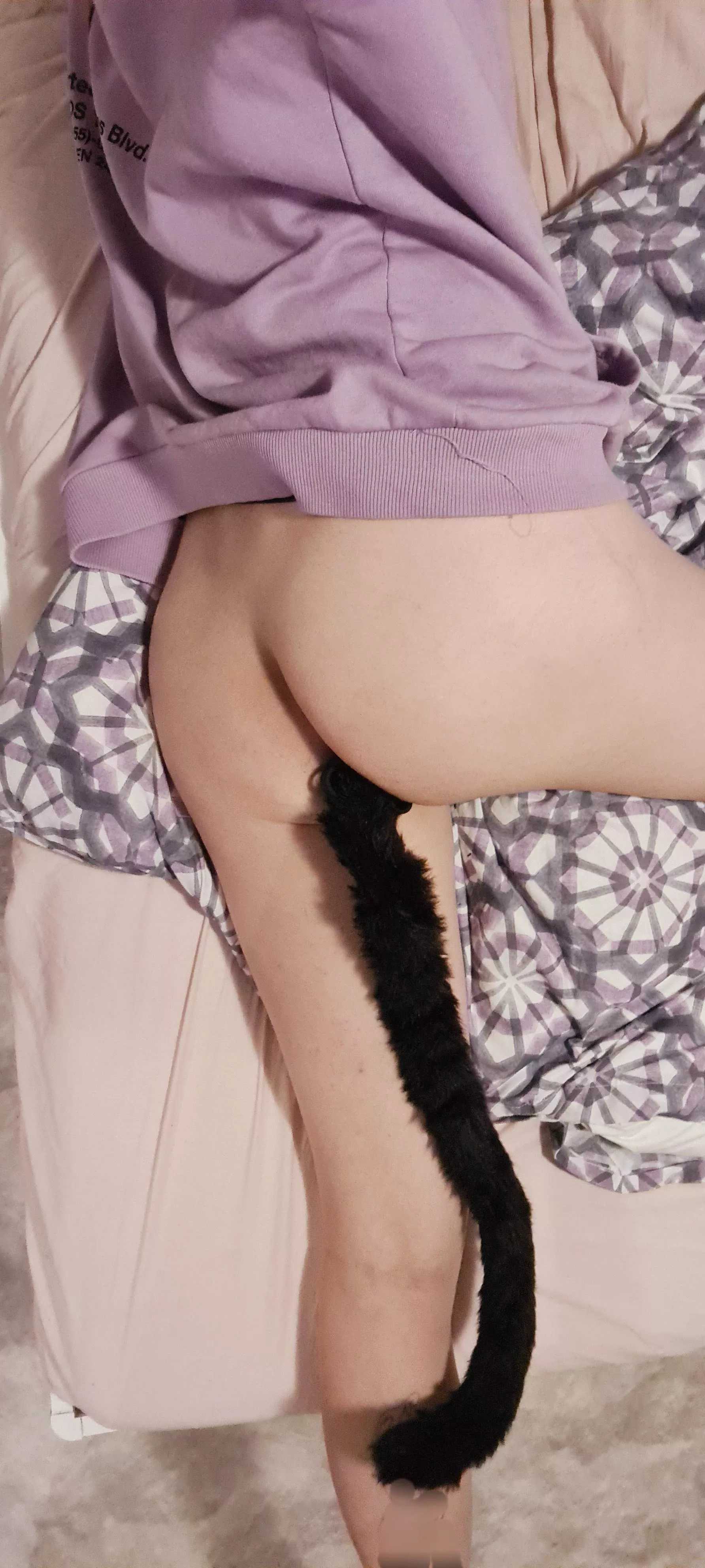 Chu wanna play with my tail? 🥺👉👈