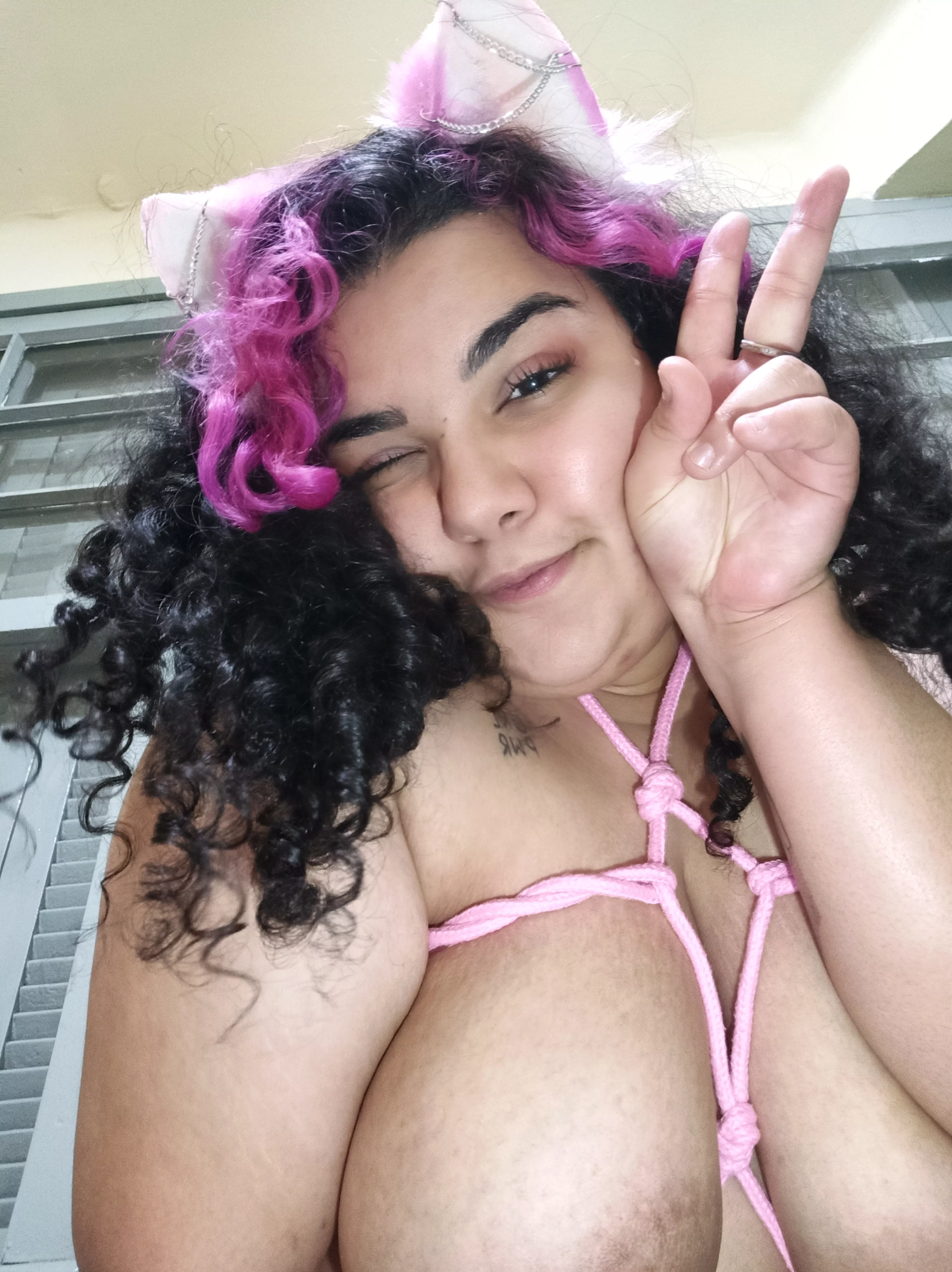 Chubby Kitten Meow Meow 💕