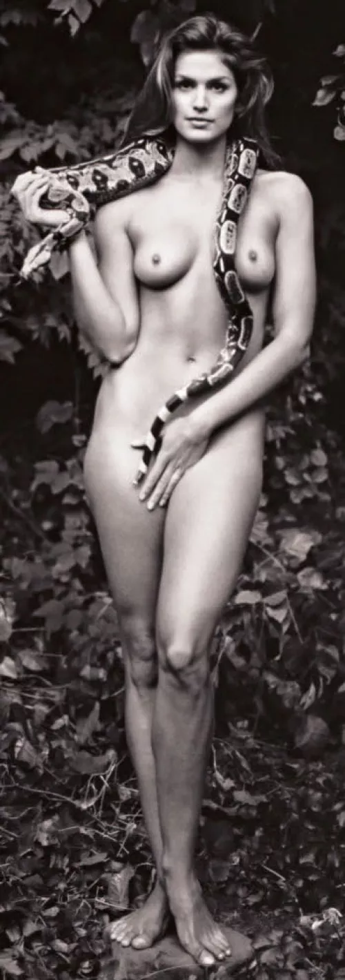 Cindy Crawford was a queen of my penis (1993)