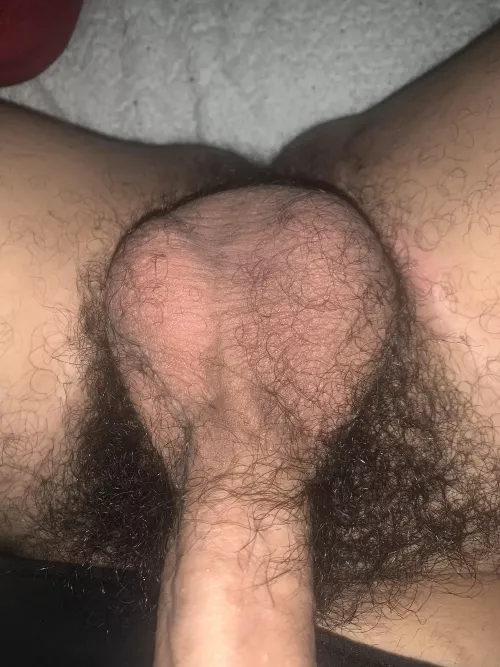 Close up on my balls how the pubes lookin