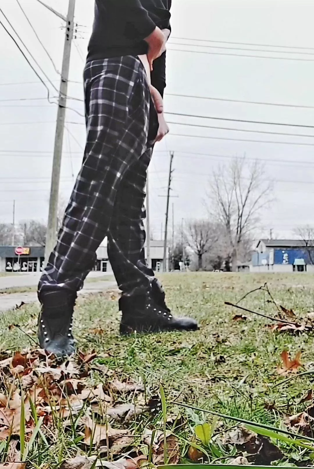 Cock out by a road and some houses, what would you do if you saw it?