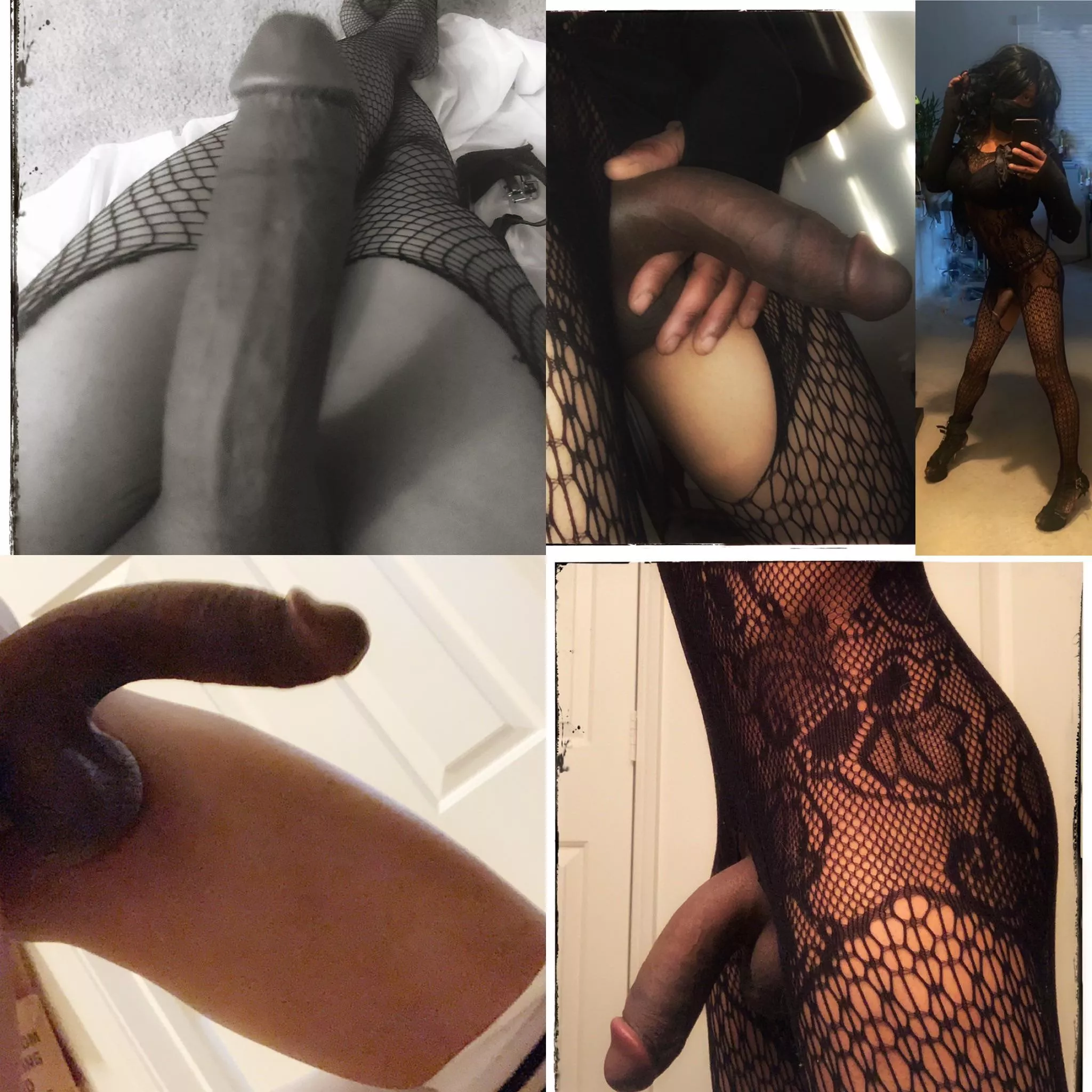 Cock Overload!!!🍆💦💦