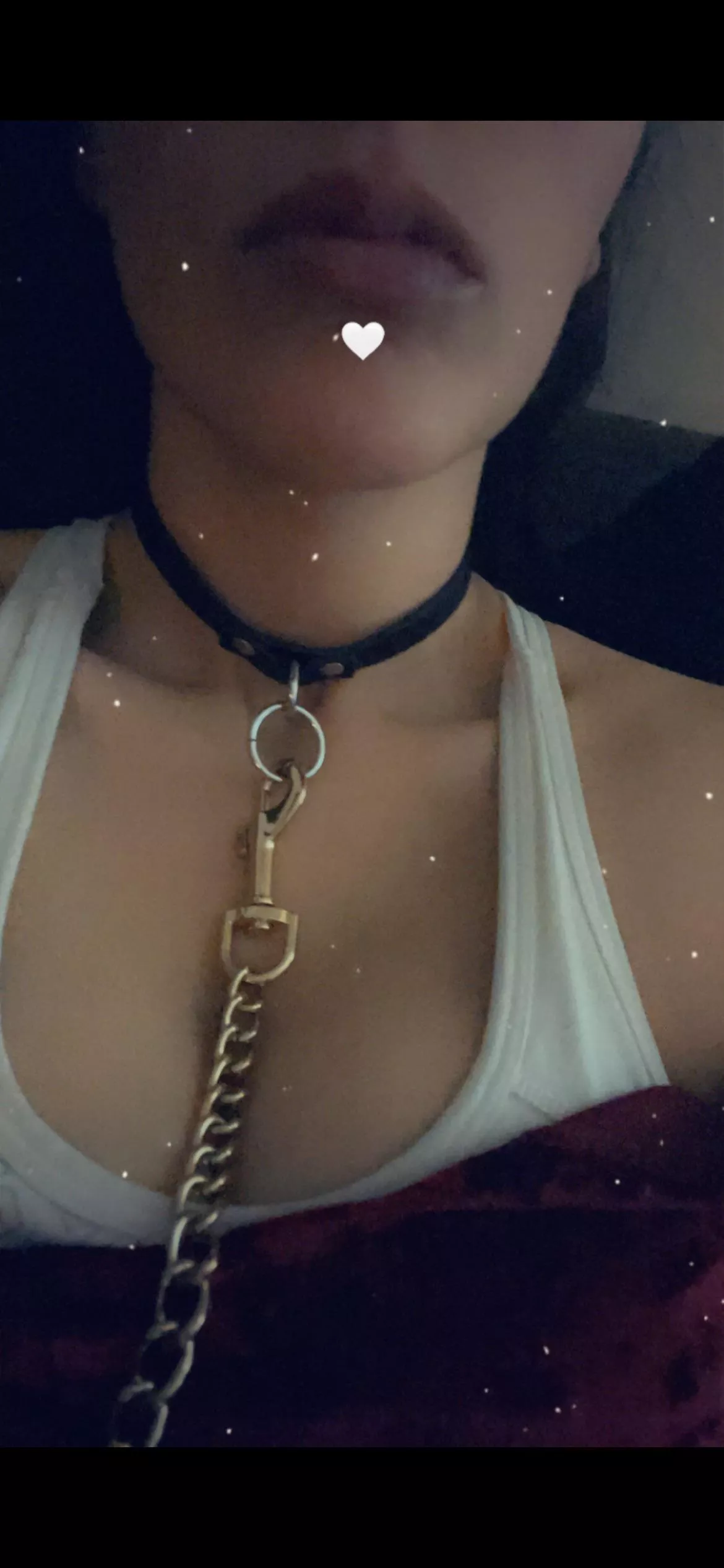 Collared and leashed 😍