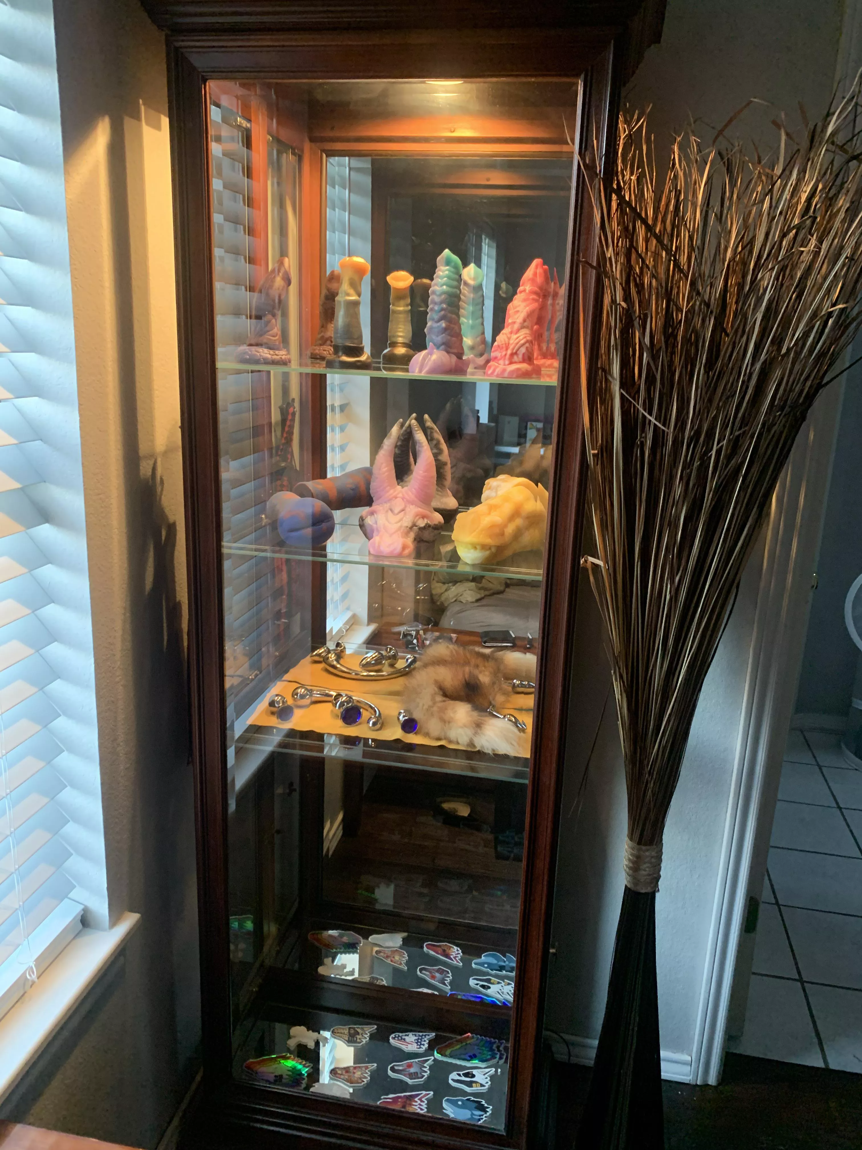 Collection On Display 😍