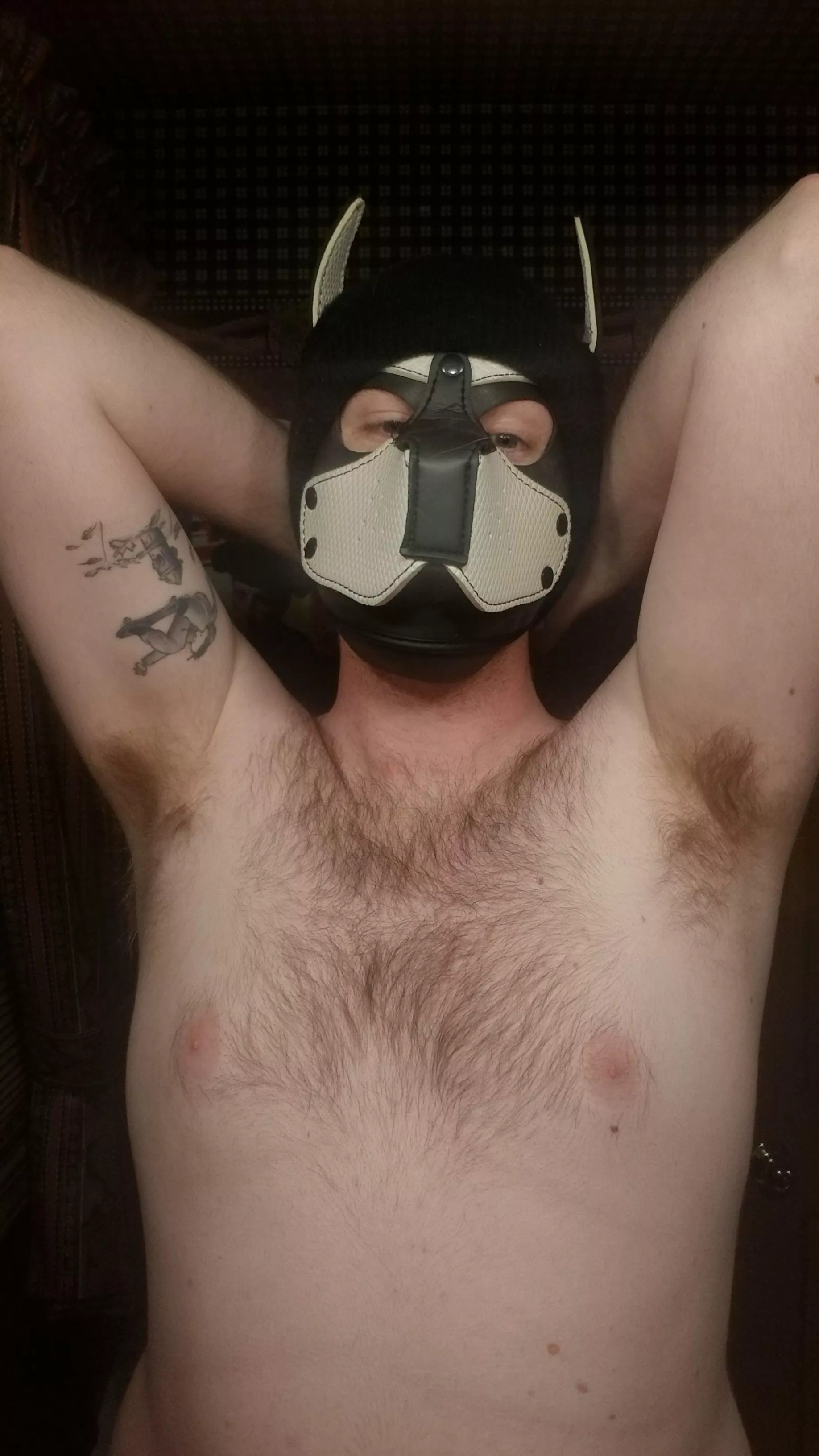 Come get a sniff from mee