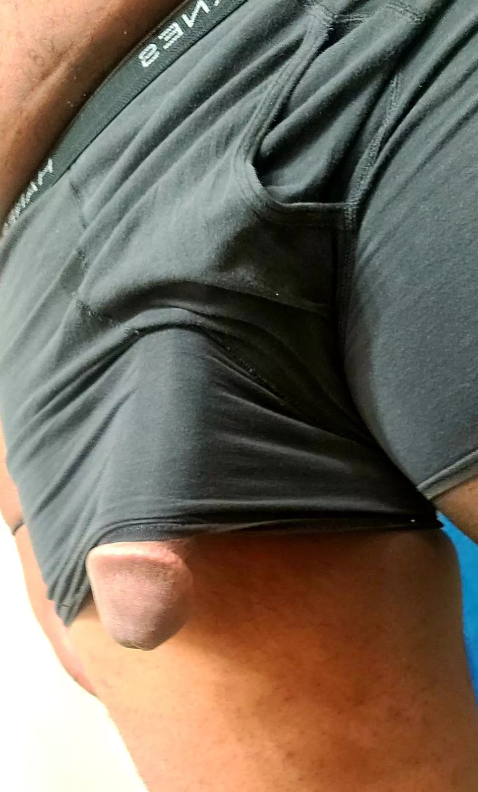 Come on, you know what Daddy wants Come on, you know what Daddy wants