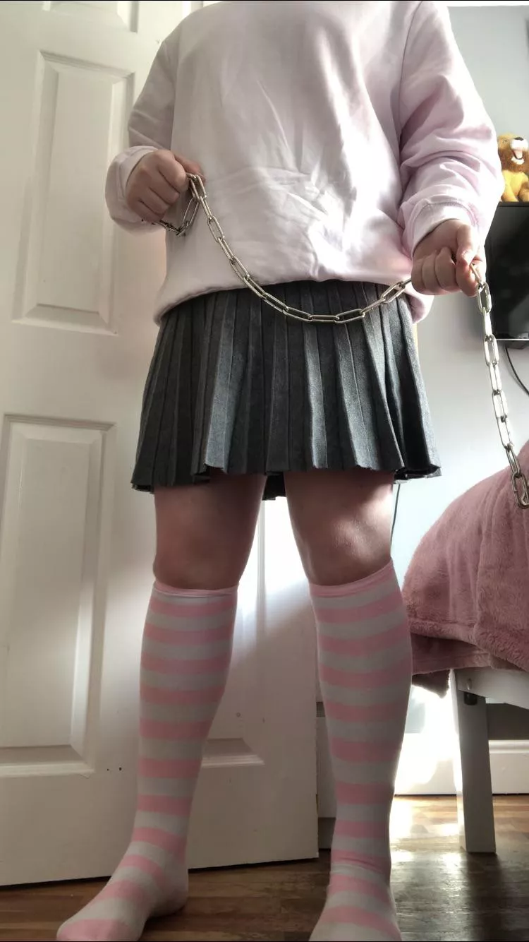 Come pet, time for walkies 💕🐶🐱