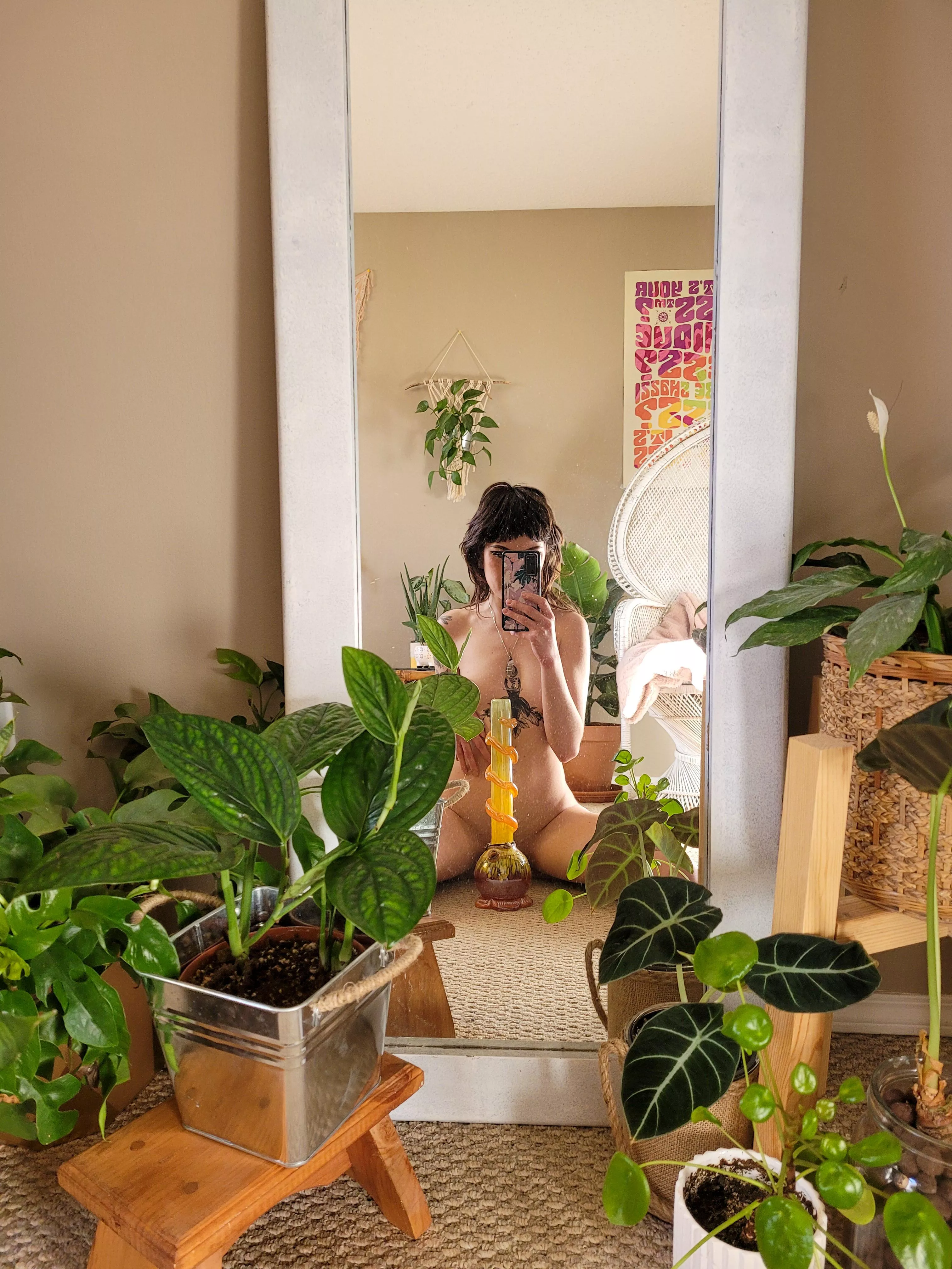 come smoke with me in my jungle🌿