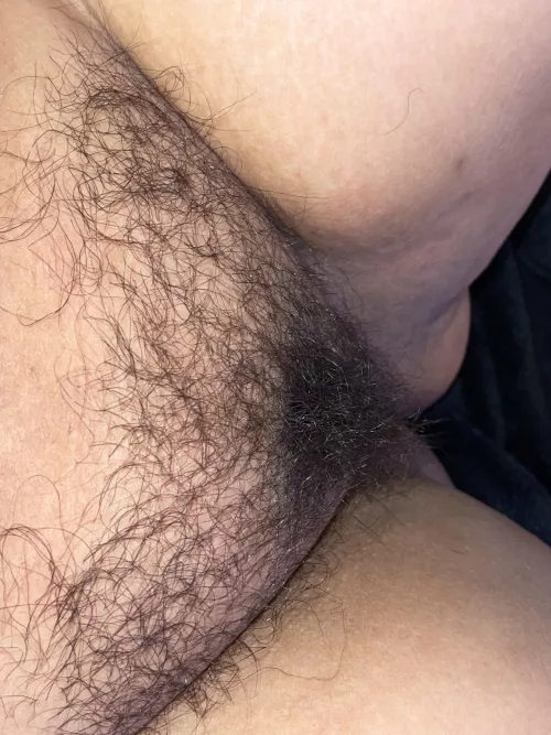 Come Tap Tht Cock Against My Hairy Pussy