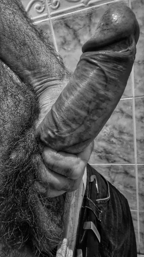 Come to daddy. Show me what you can do. [47]