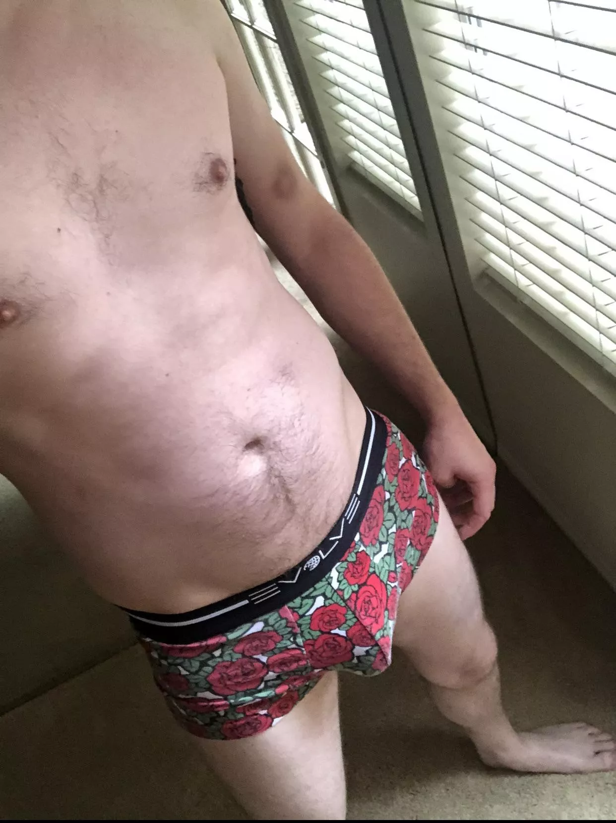 Comfy Evolve briefs