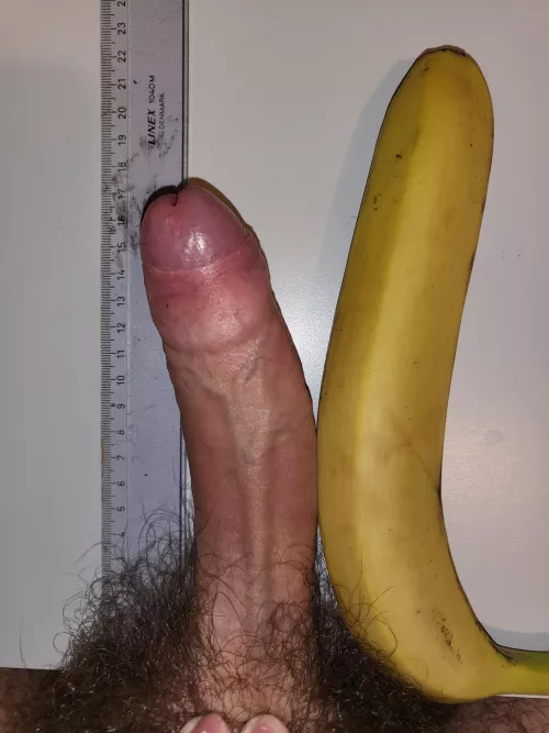 Comparing with this giant banana I found. DM to compare!