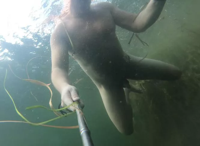 Connecting with nature on a nude spring dive this afternoon! (M)