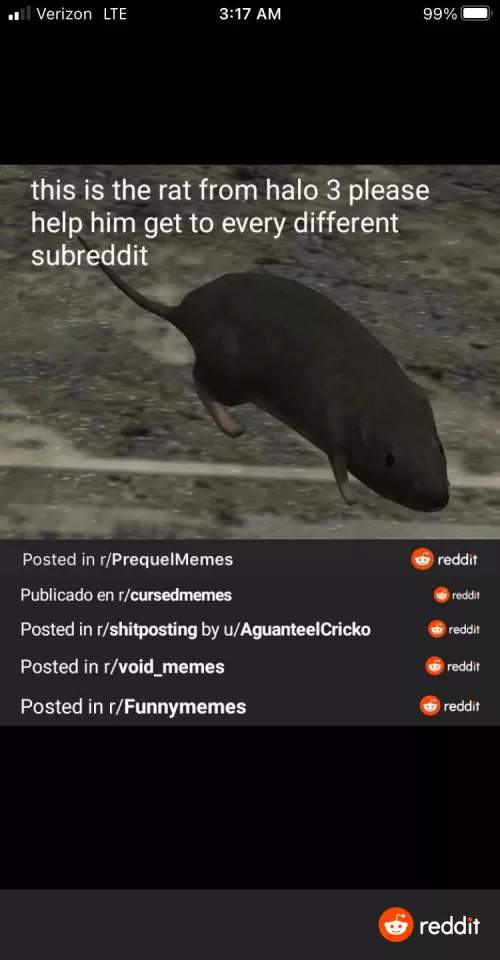 Continue his journey.