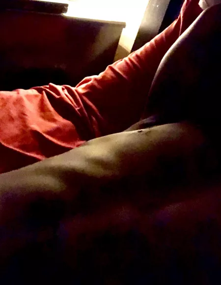 👀Could anyone use a cuddle buddy?