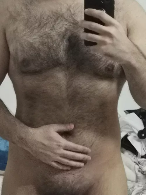 Cuddly bear π₯